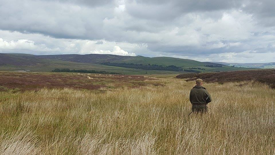 the long weekend book review - northumberland moors